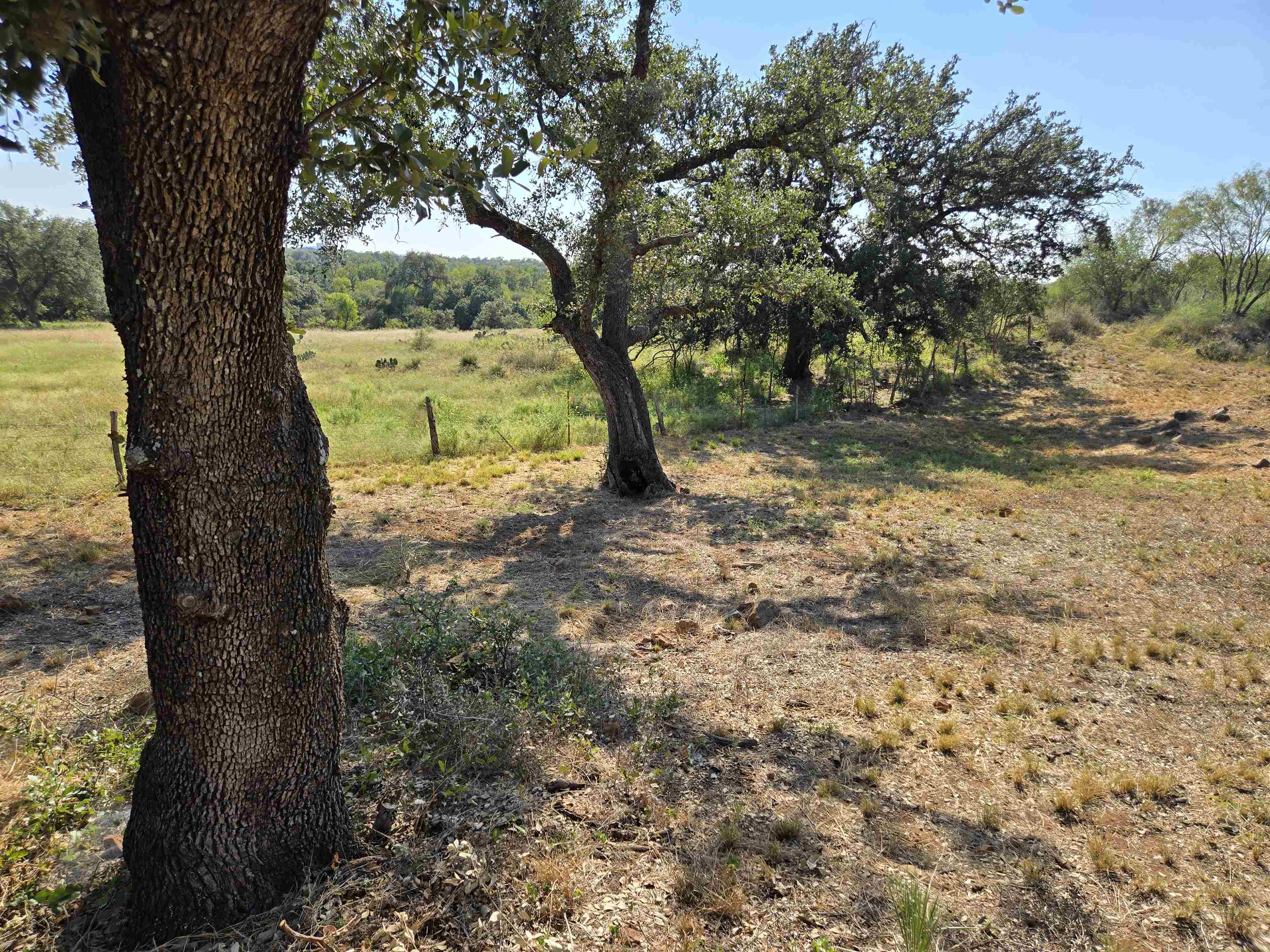 East Tarrant Street Llano, TX 78643 - Photo 17 of 19 a view of outdoor space and yard