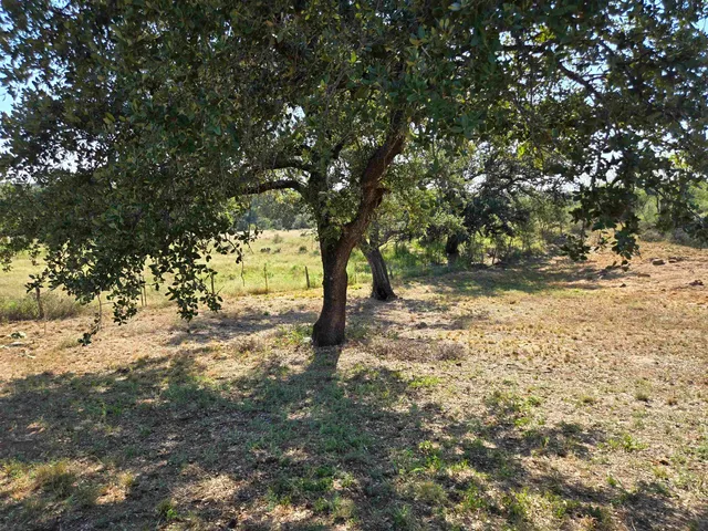 $145,000 | East Tarrant Street, Llano, TX 78643