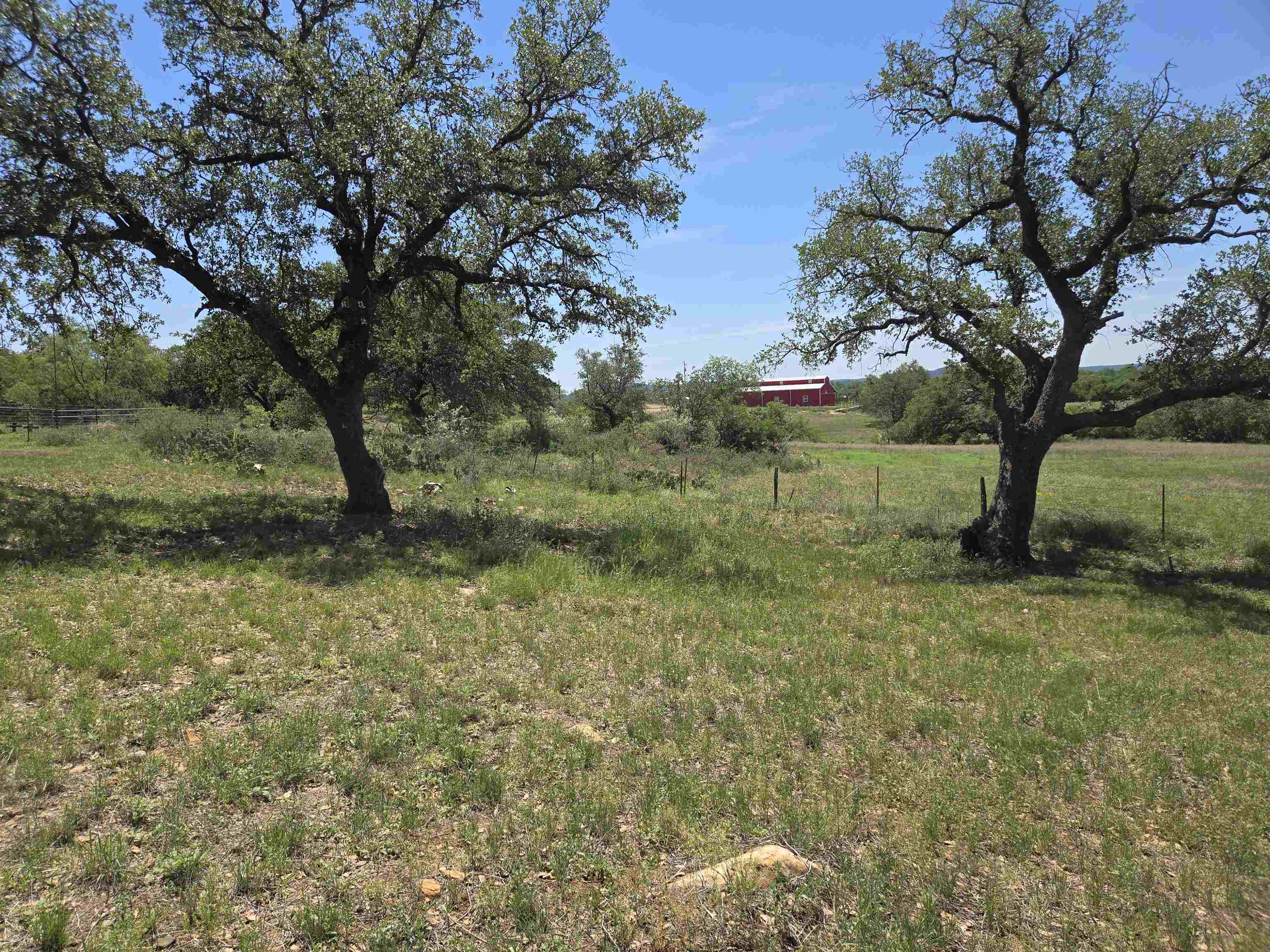 East Tarrant Street Llano, TX 78643 - Photo 2 of 19 a view of a yard with a tree