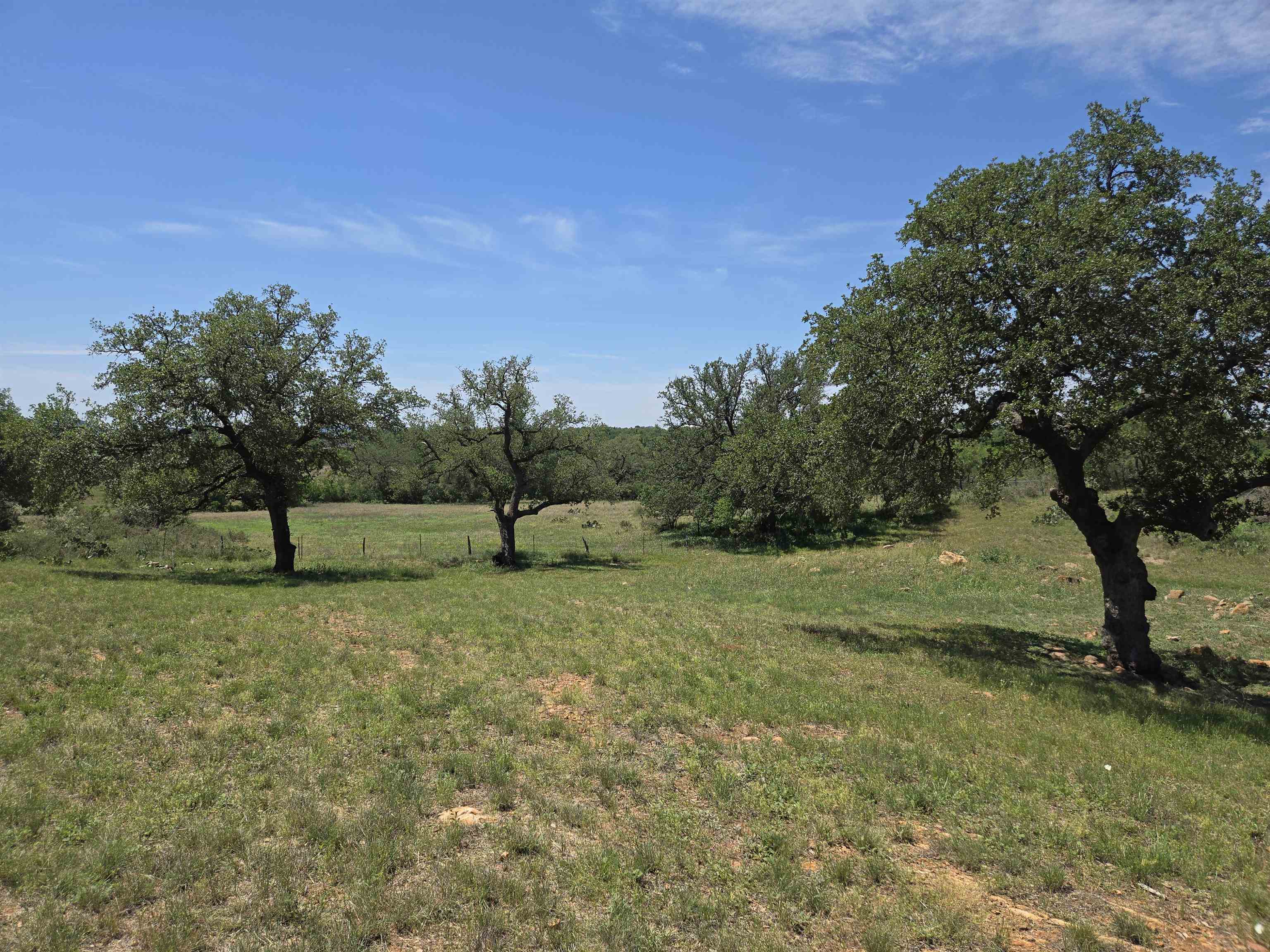 East Tarrant Street Llano, TX 78643 - Photo 6 of 19 a view of a field with trees