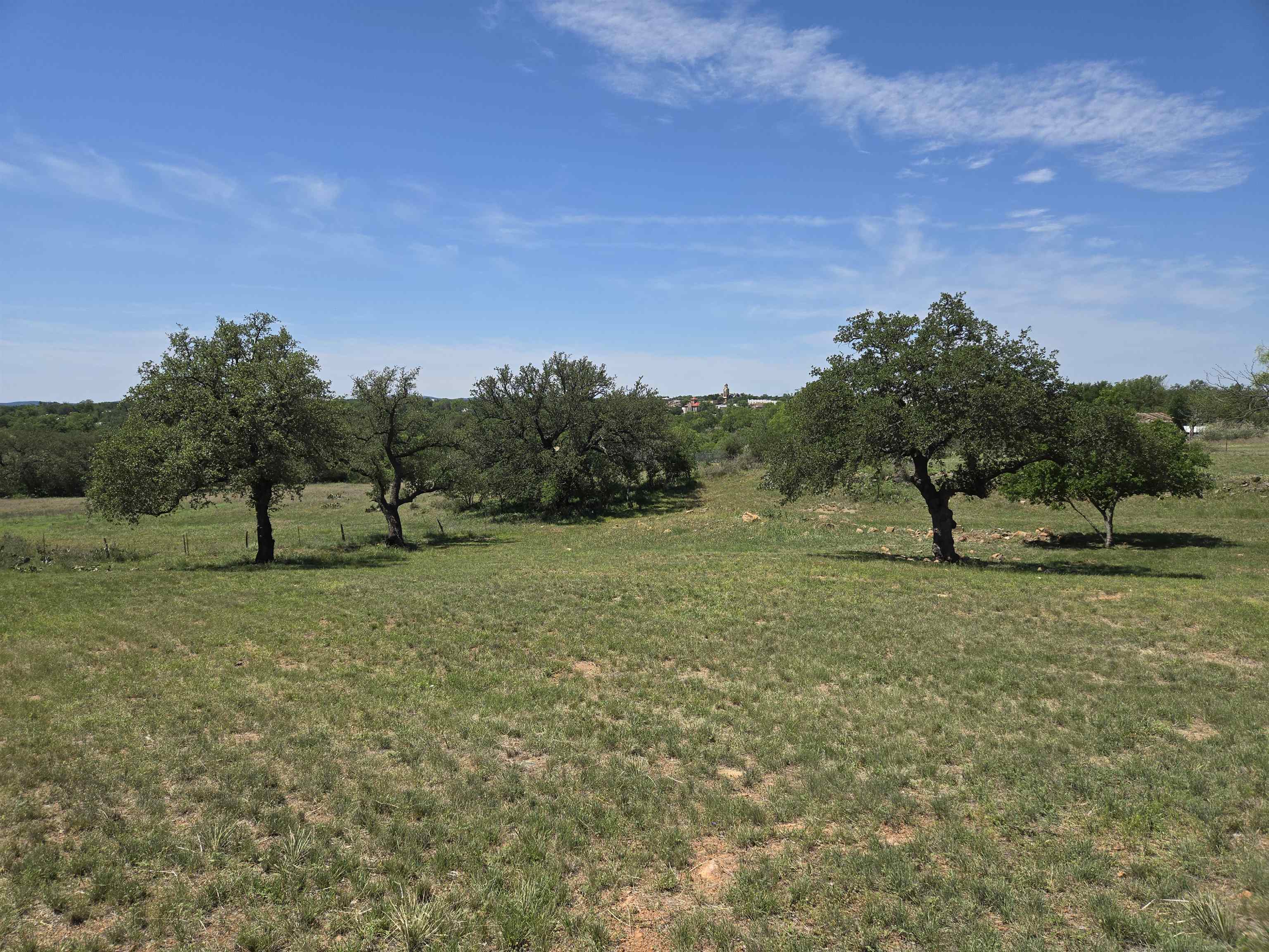 East Tarrant Street Llano, TX 78643 - Photo 7 of 19 a view of three trees and outdoor space