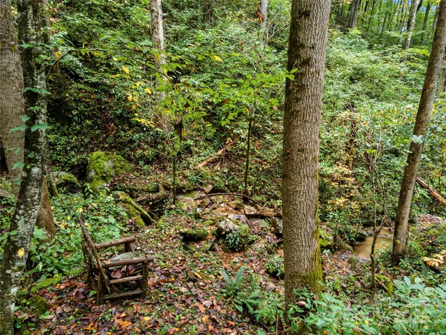 an aerial view of residential house with outdoor space and trees