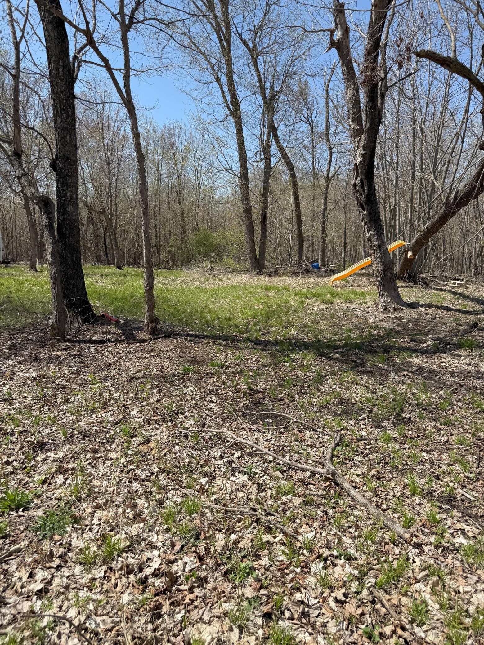 Tbd Tbd Tbd Ottertail, MN 56571 - Photo 4 of 11