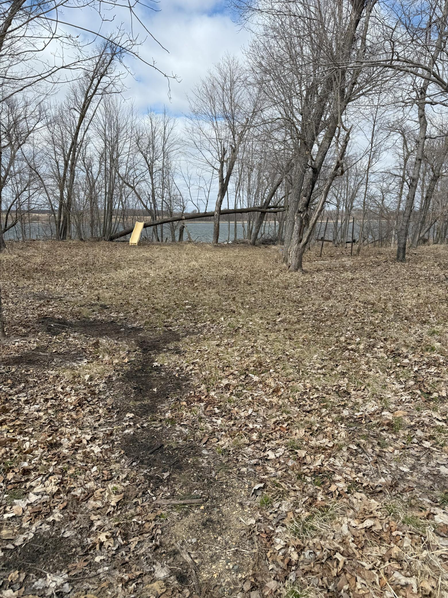 Tbd Tbd Tbd Ottertail, MN 56571 - Photo 5 of 11