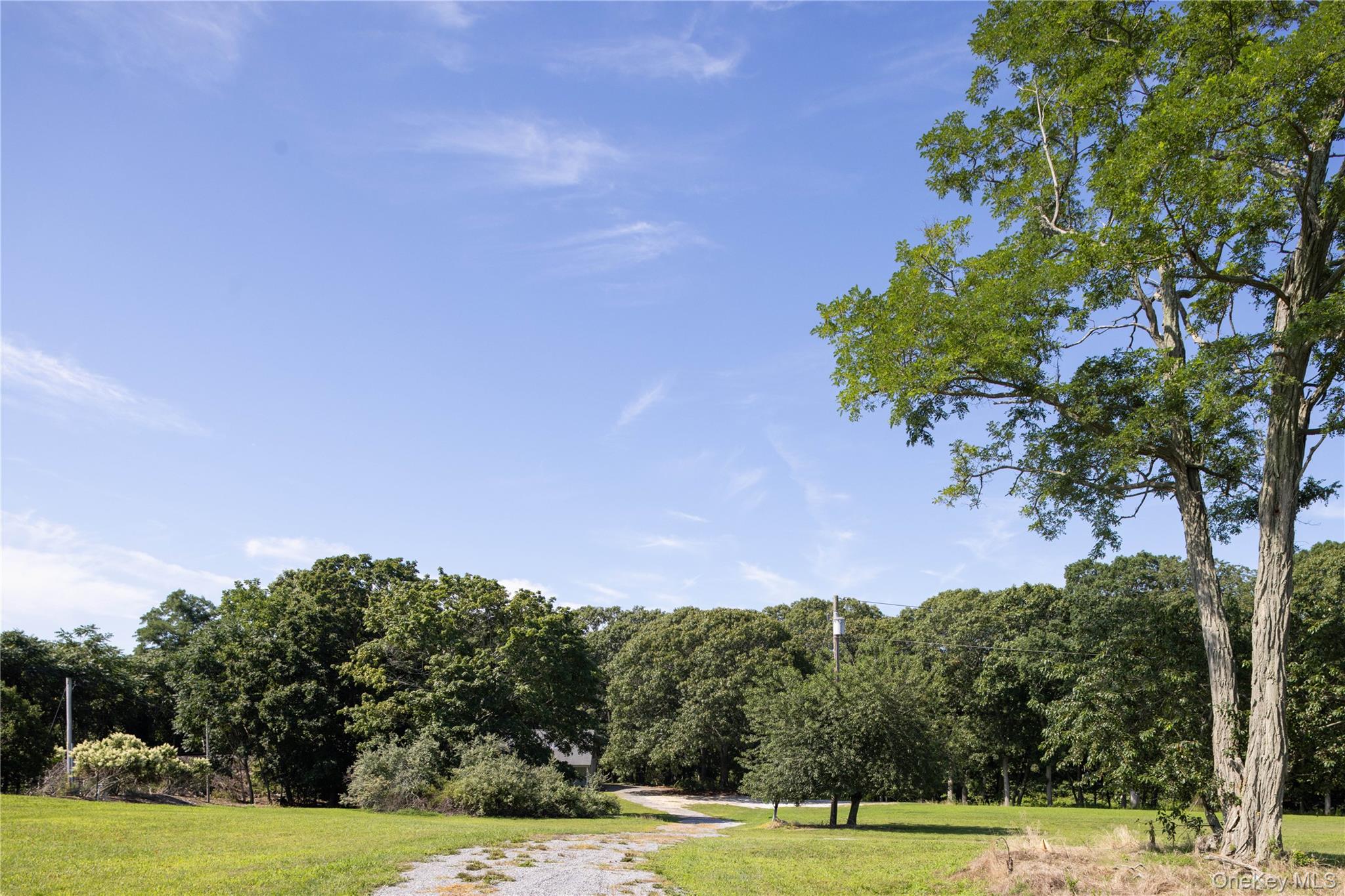 2450 Main Road Laurel, NY 11948 - Photo 4 of 33 Open, tillable land