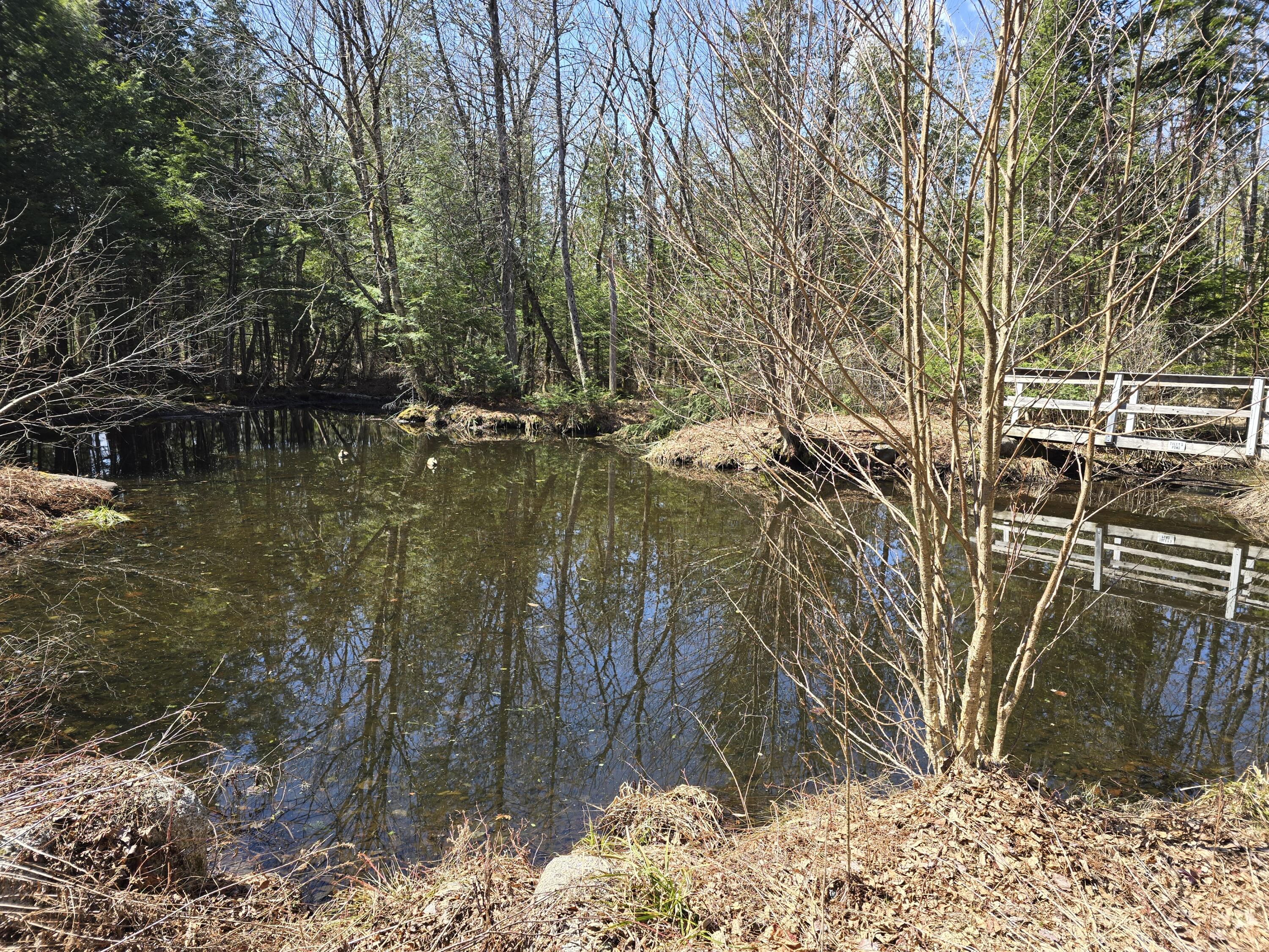 865 Barnard Road Brownville, ME 04414 - Photo 27 of 68 20250425_114157