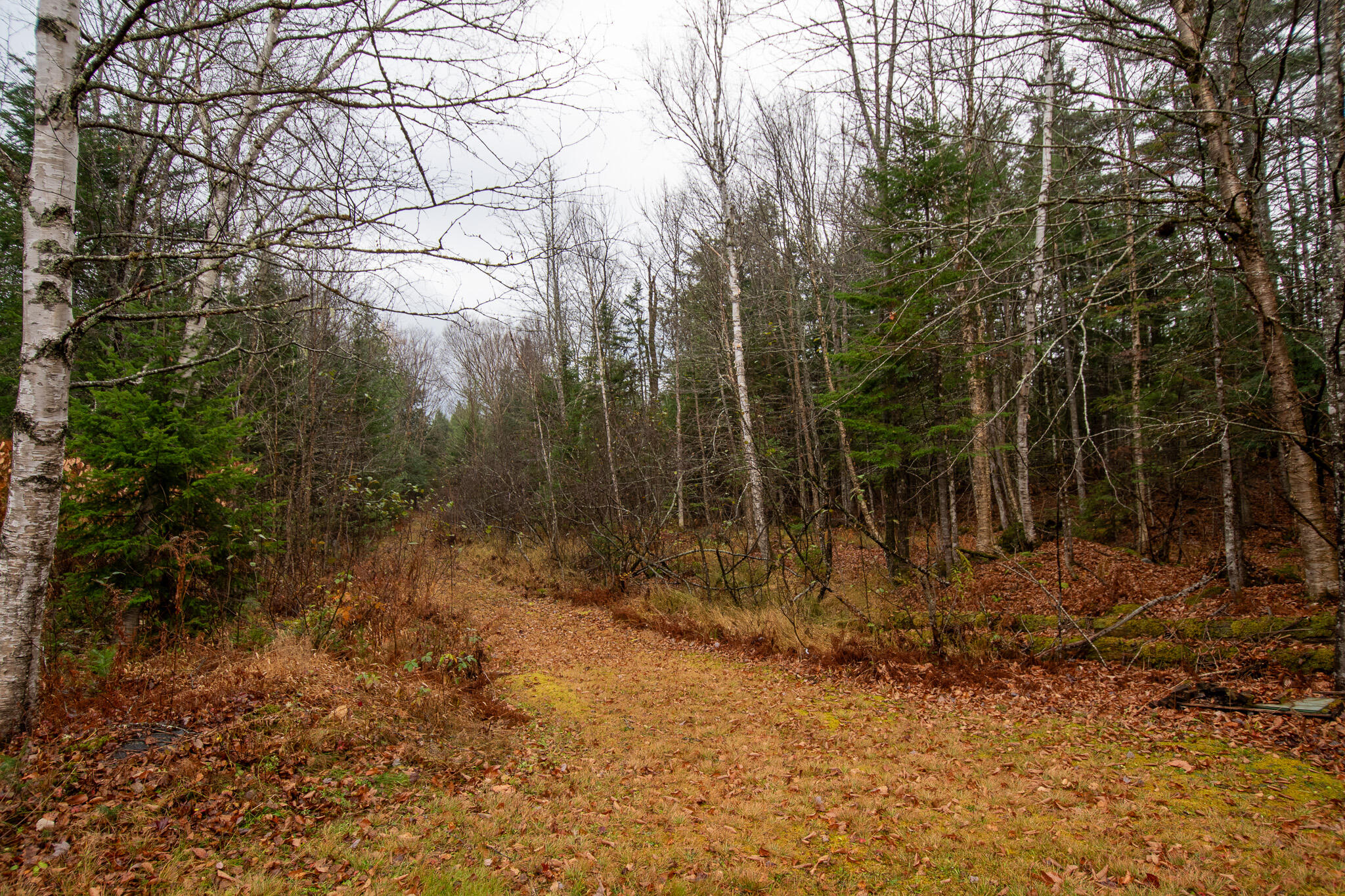 865 Barnard Road Brownville, ME 04414 - Photo 56 of 68 DSC_1423