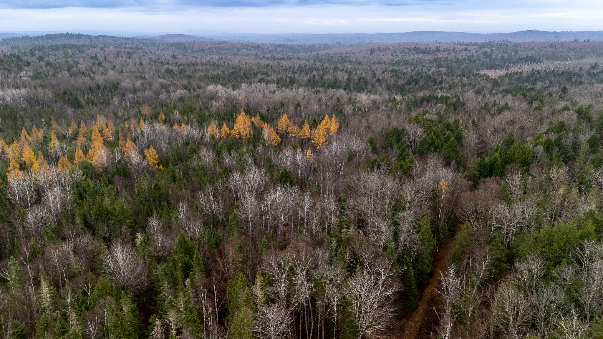 865 Barnard Road Brownville, ME 04414 - Photo 58 of 68 DJI_20241101110116_0334_D