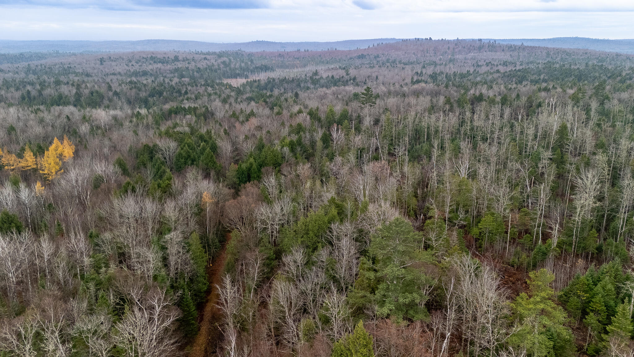 865 Barnard Road Brownville, ME 04414 - Photo 59 of 68 DJI_20241101110121_0335_D