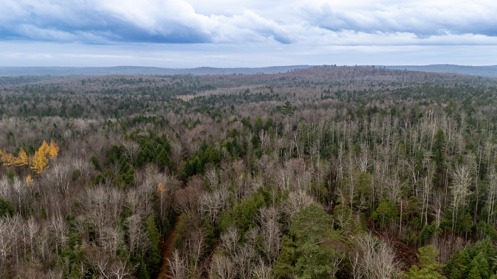 865 Barnard Road Brownville, ME 04414 - Photo 60 of 68 DJI_20241101110125_0336_D