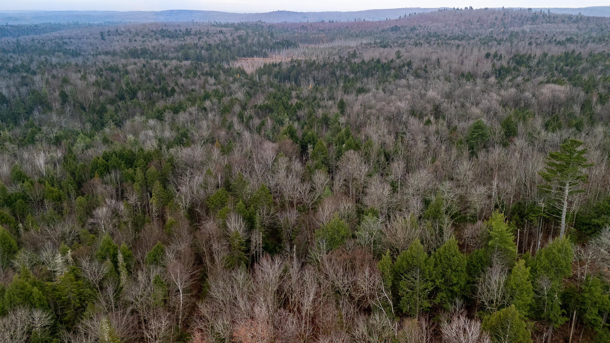 865 Barnard Road Brownville, ME 04414 - Photo 64 of 68 DJI_20241101110217_0342_D