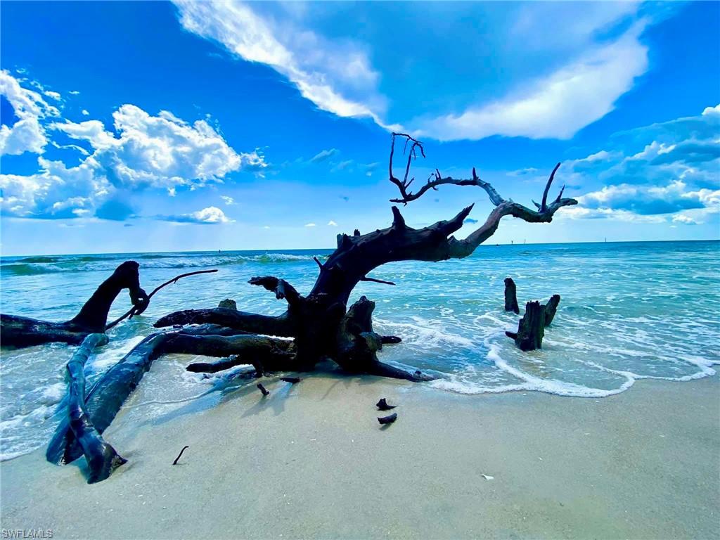 873 Carrick Bend Circle, Unit 101 Naples, FL 34110 - Photo 39 of 42 a view of gym equipment with garden