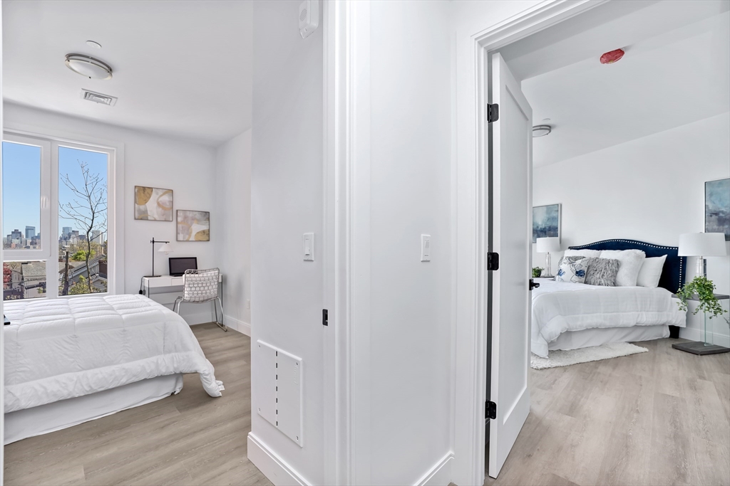 64 Alpine Street, Unit 302 Boston, MA 02119 - Photo 4 of 7 Gallery Image 4