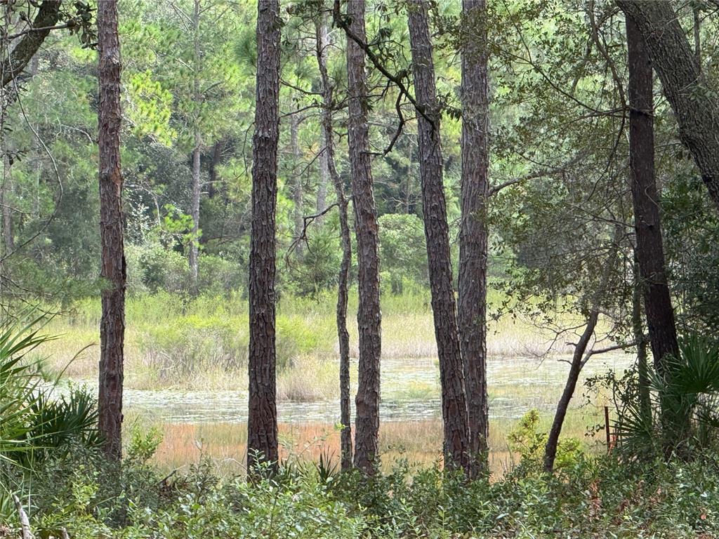 a view of lake from balcony