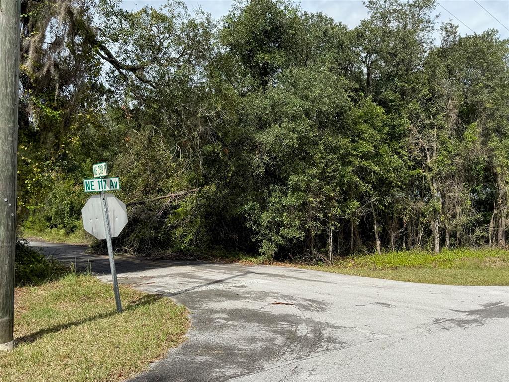 0 Northeast 114th Avenue Road Fort McCoy, FL 32134 - Photo 11 of 17 a swimming pool with a house in the background