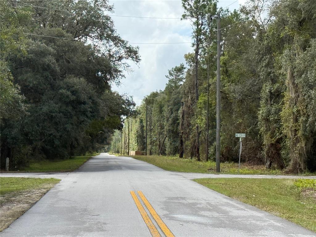 0 Northeast 114th Avenue Road Fort McCoy, FL 32134 - Photo 14 of 17 a view of a park