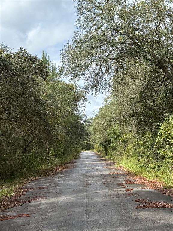 0 Northeast 114th Avenue Road Fort McCoy, FL 32134 - Photo 2 of 17 a view of a yard with a tree