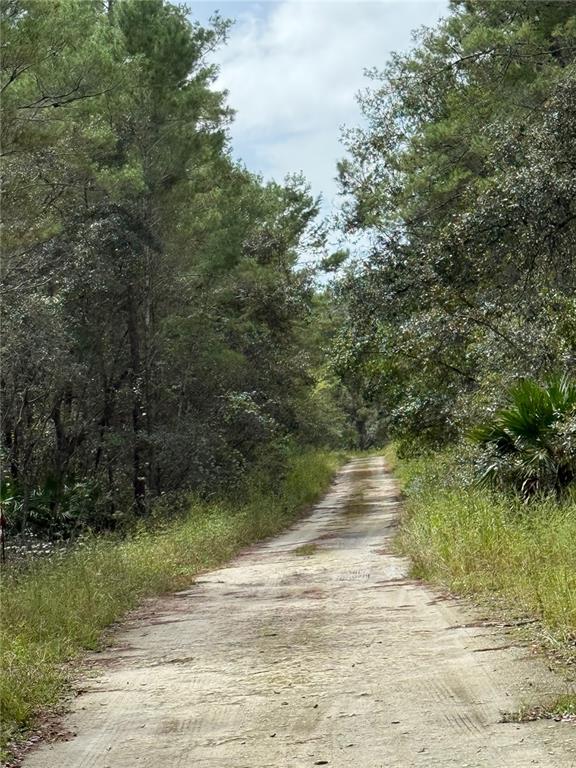 0 Northeast 114th Avenue Road Fort McCoy, FL 32134 - Photo 6 of 17 a view of a yard