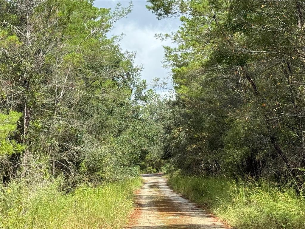 0 Northeast 114th Avenue Road Fort McCoy, FL 32134 - Photo 10 of 17 a view of lake view