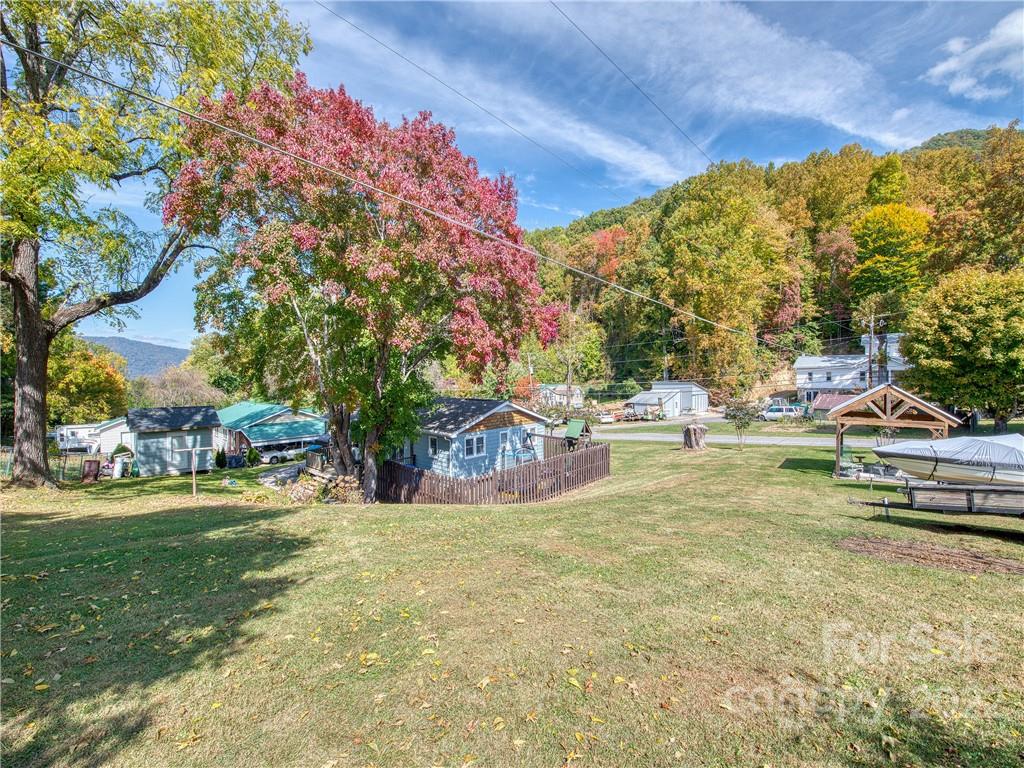 550 Lickstone Road Waynesville, NC 28786 - Photo 3 of 24 a view of swimming pool with lawn chairs and large trees