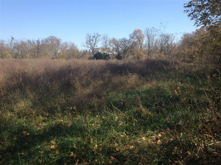 2835 Scotts Ferry Road Versailles, KY 40383 - Photo 3 of 4 Photo 3