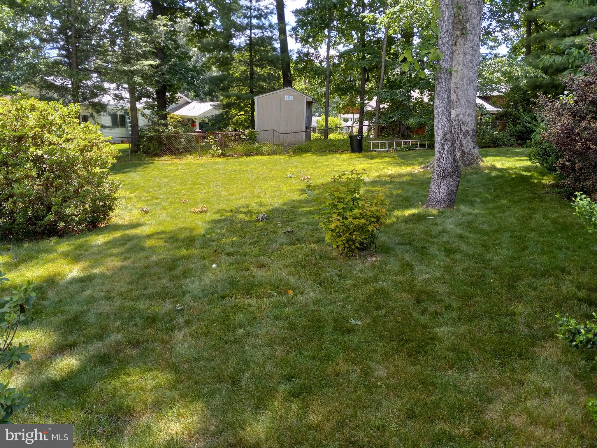 4120 Roberts Road Fairfax, VA 22030 - Photo 34 of 37 Back Yard