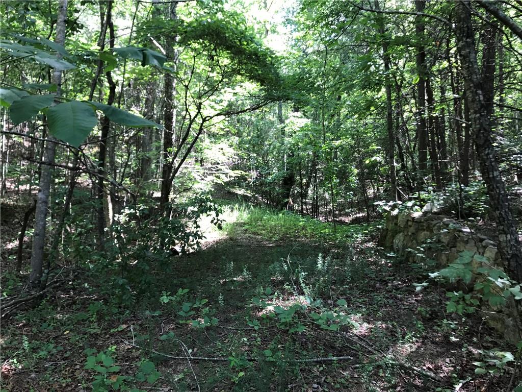 587 East Valley Road Northeast Rydal, GA 30171 - Photo 10 of 18