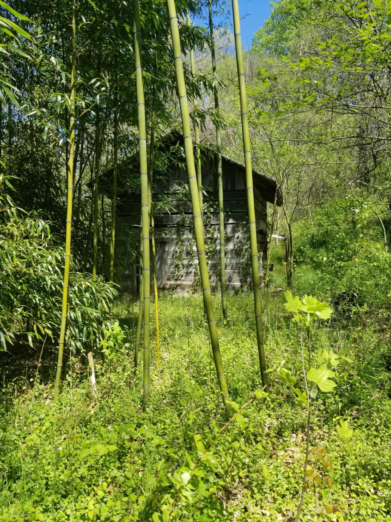 2320 Middlesettlements Road Maryville, TN 37801 - Photo 1 of 7 20190415_150313