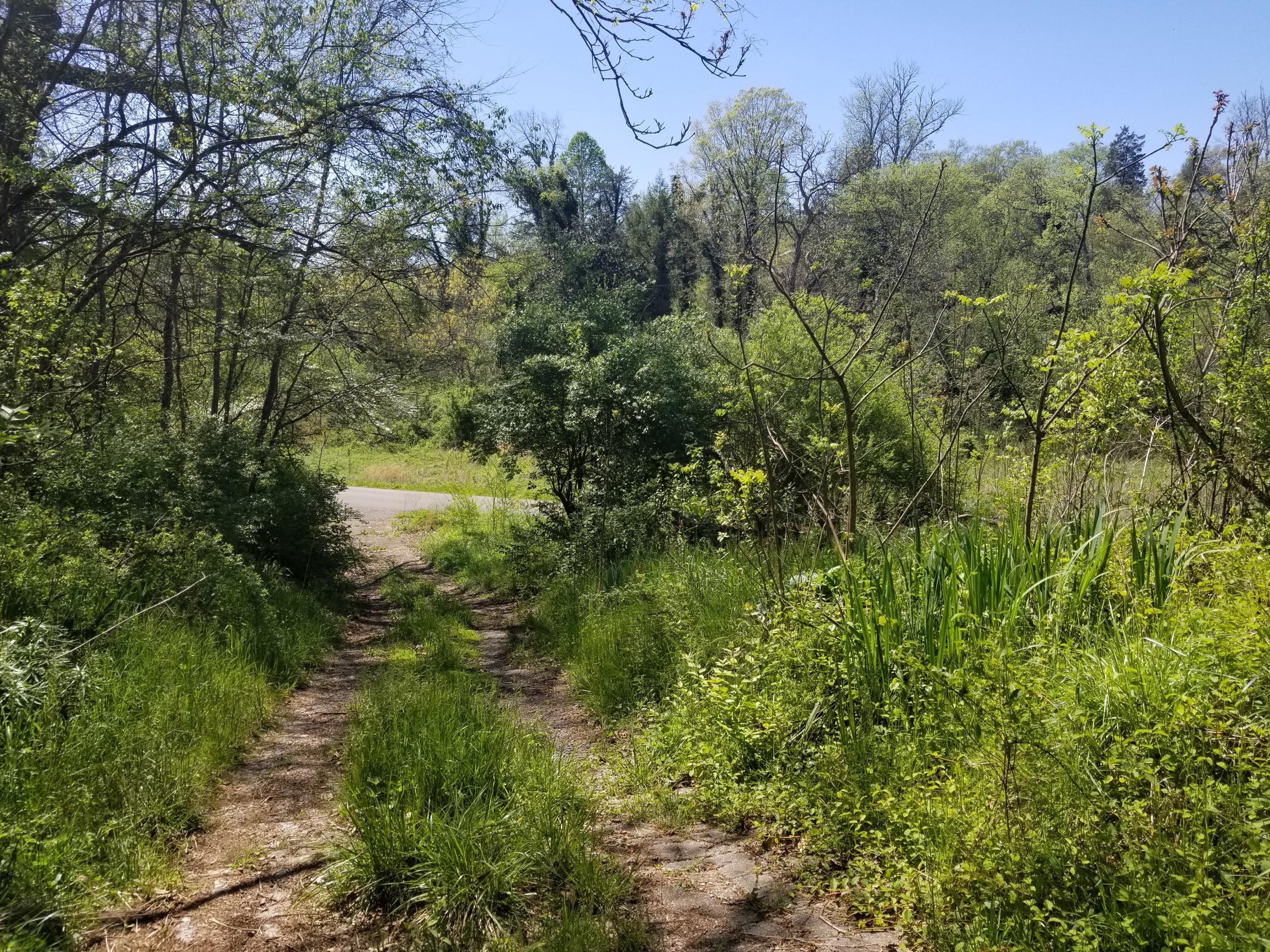 2320 Middlesettlements Road Maryville, TN 37801 - Photo 3 of 7 20190415_150537