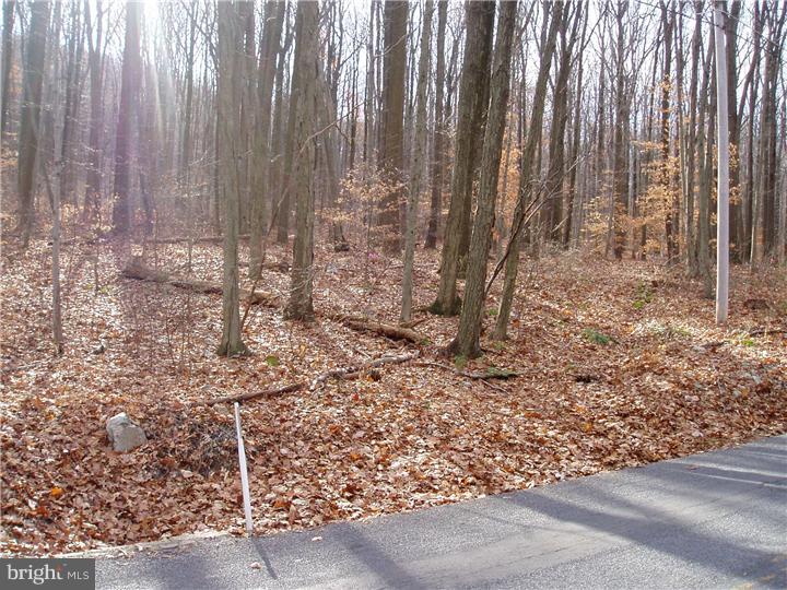 9043 Powder Mill Hollow Road Boyertown, PA 19512 - Photo 3 of 4 Gallery Image 3