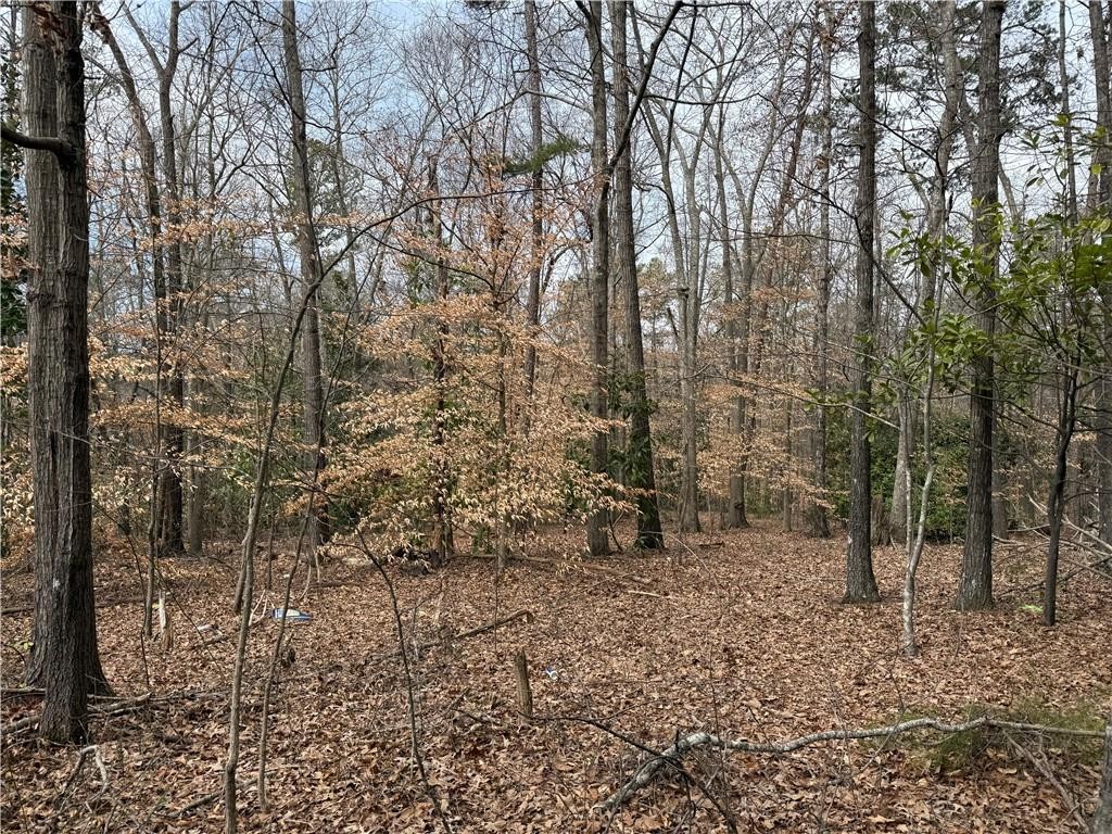 0 North Walnut Street Seneca, SC 29678 - Photo 8 of 12 Mature trees and natural foliage define this private wooded lot.