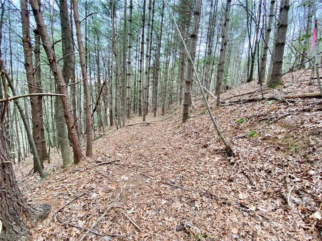 2499 Ivy Rays Way, Unit 53 Nebo, NC 28761 - Photo 6 of 17 Gallery Image 6