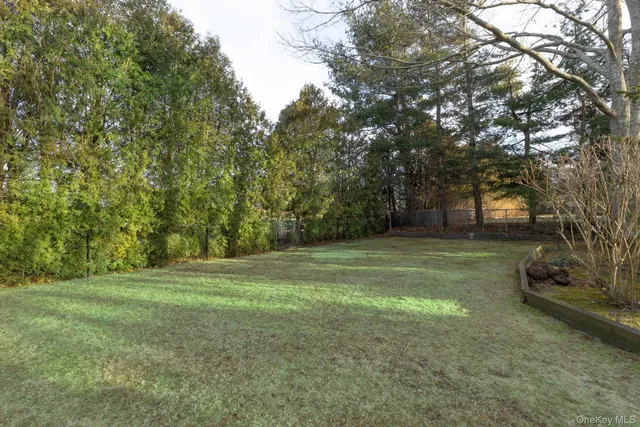 a view of a field with trees