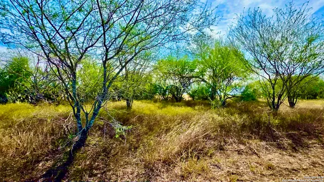 a view of a lake with a yard