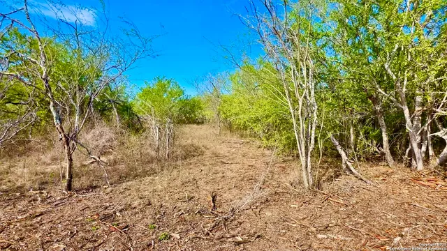 a view of mountain with green space