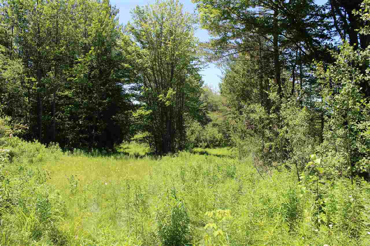 0 Hollow Road Barton, VT 05860 - Photo 3 of 7