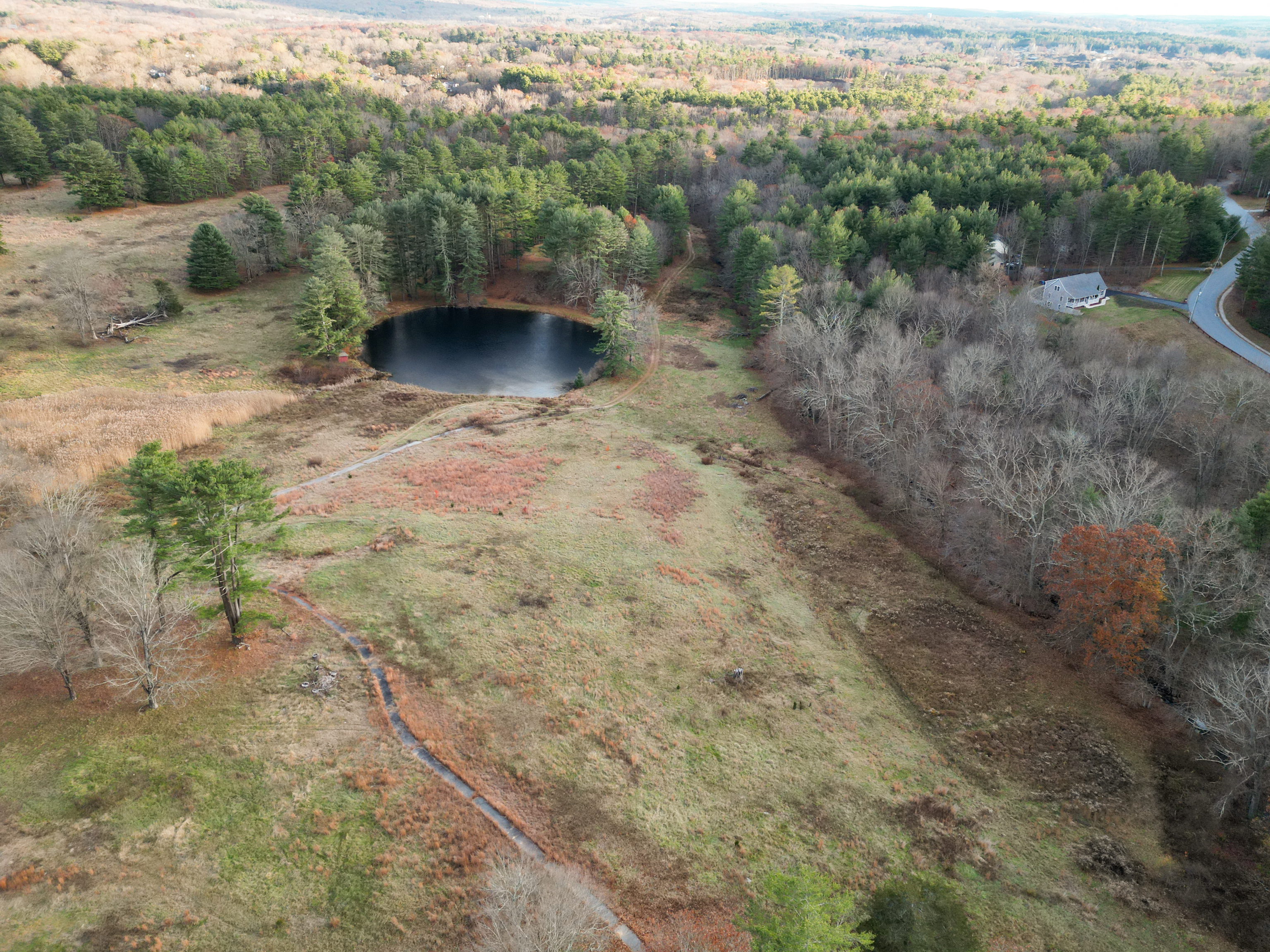 147 South Street Brooklyn, CT 06234 - Photo 7 of 13 a view of a forest with a yard