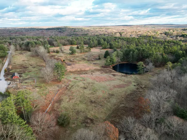 a view of a dry yard with green space