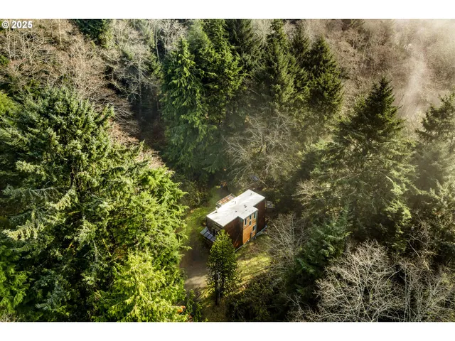 a view of a lush green field