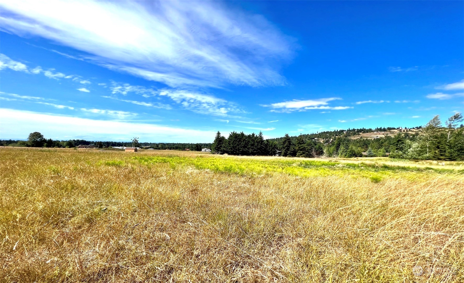 999 Happy Valley Road Sequim, WA 98382 - Photo 11 of 18 Gallery Image 11