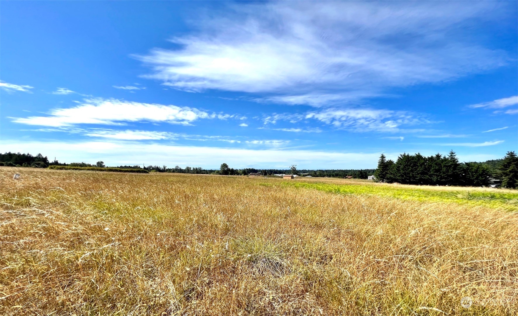 999 Happy Valley Road Sequim, WA 98382 - Photo 16 of 18 Gallery Image 16