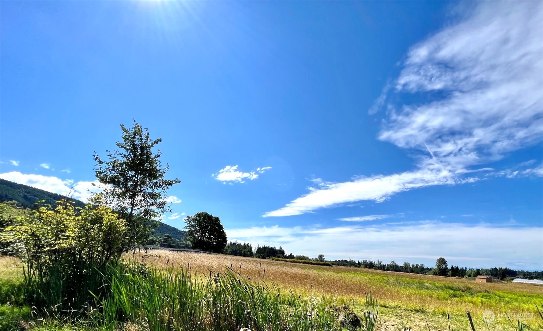 999 Happy Valley Road Sequim, WA 98382 - Photo 6 of 18 Gallery Image 6