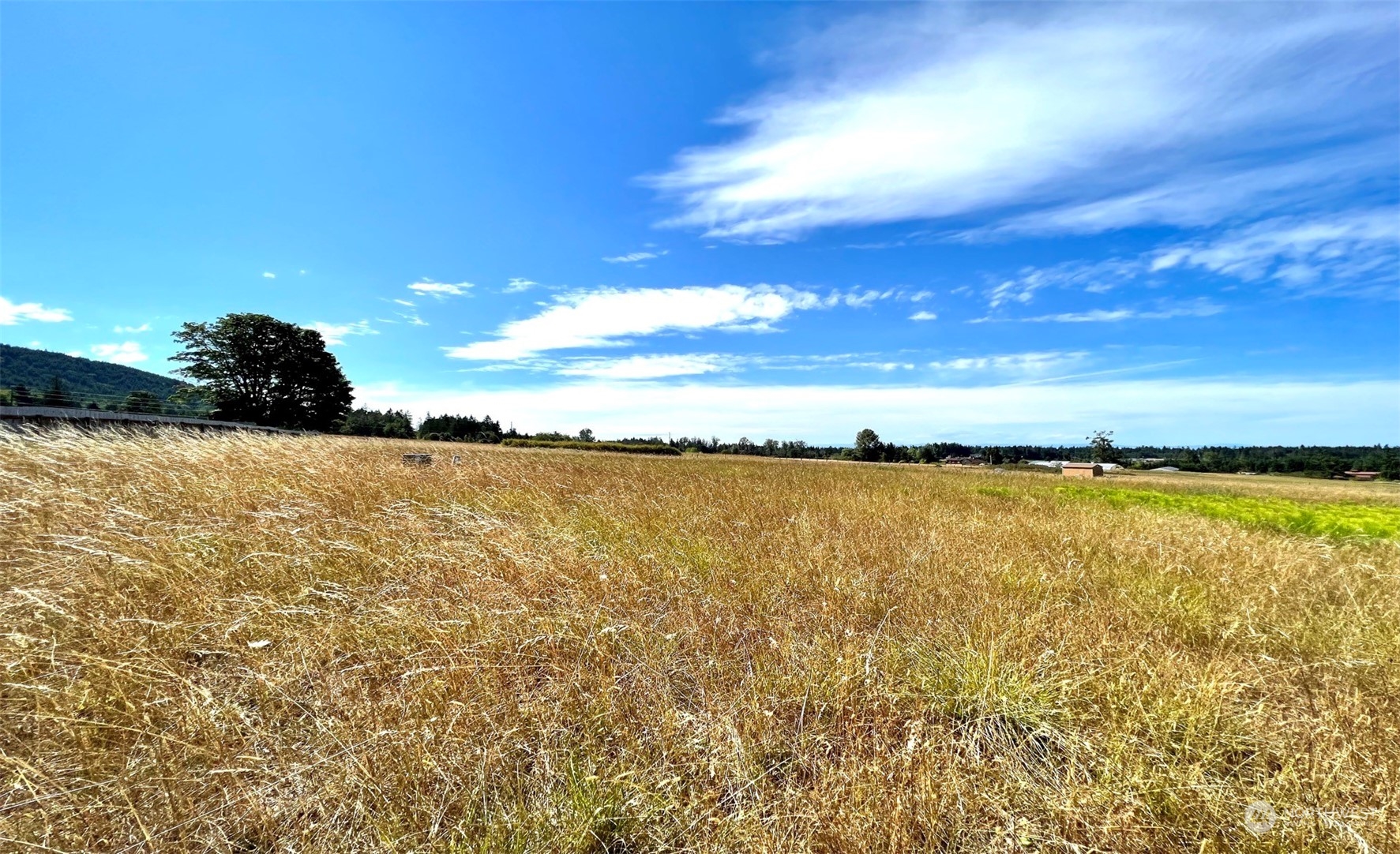 999 Happy Valley Road Sequim, WA 98382 - Photo 7 of 18 Gallery Image 7