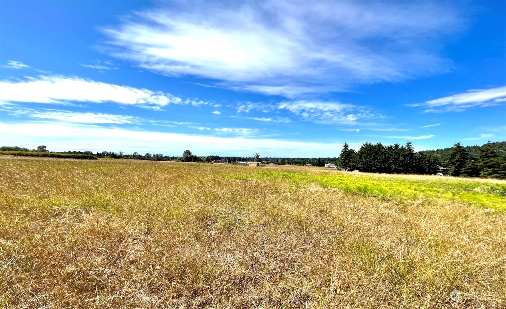 999 Happy Valley Road Sequim, WA 98382 - Photo 9 of 18 Gallery Image 9