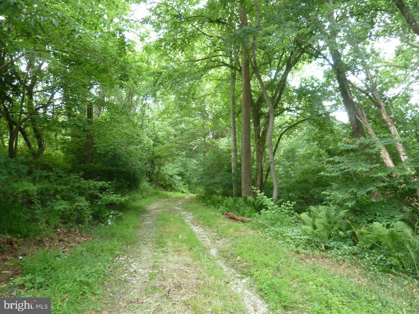 0 Park Mills Road Adamstown, MD 21710 - Photo 21 of 24 Serene path through lush greenery.