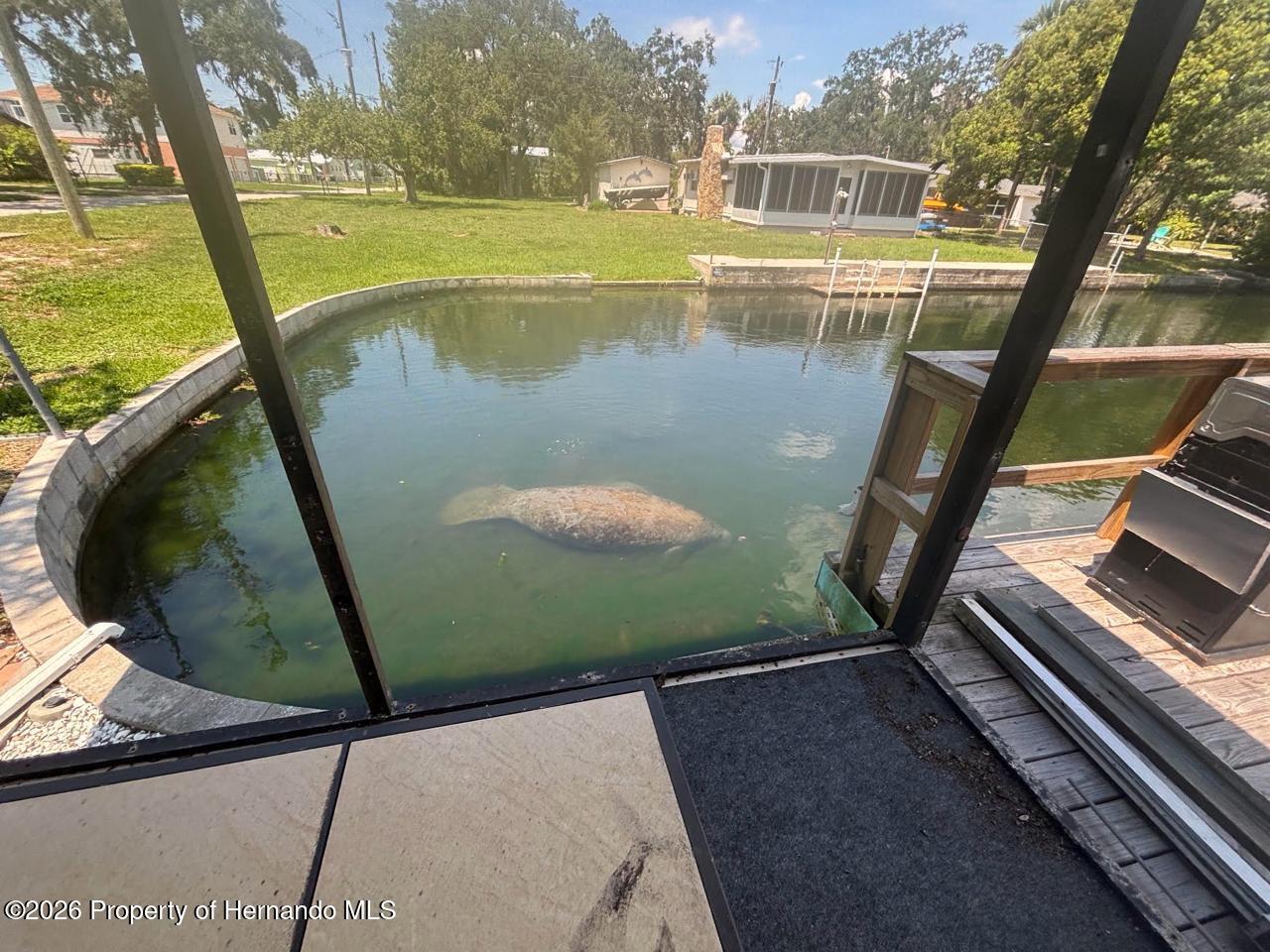 7196 Westwind Street Weeki Wachee, FL 34607 - Photo 7 of 37 Gallery Image 7
