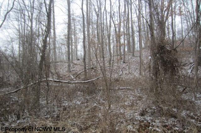 886 Jackson Mill Road Jane Lew, WV 26378 - Photo 19 of 20 Gallery Image 19