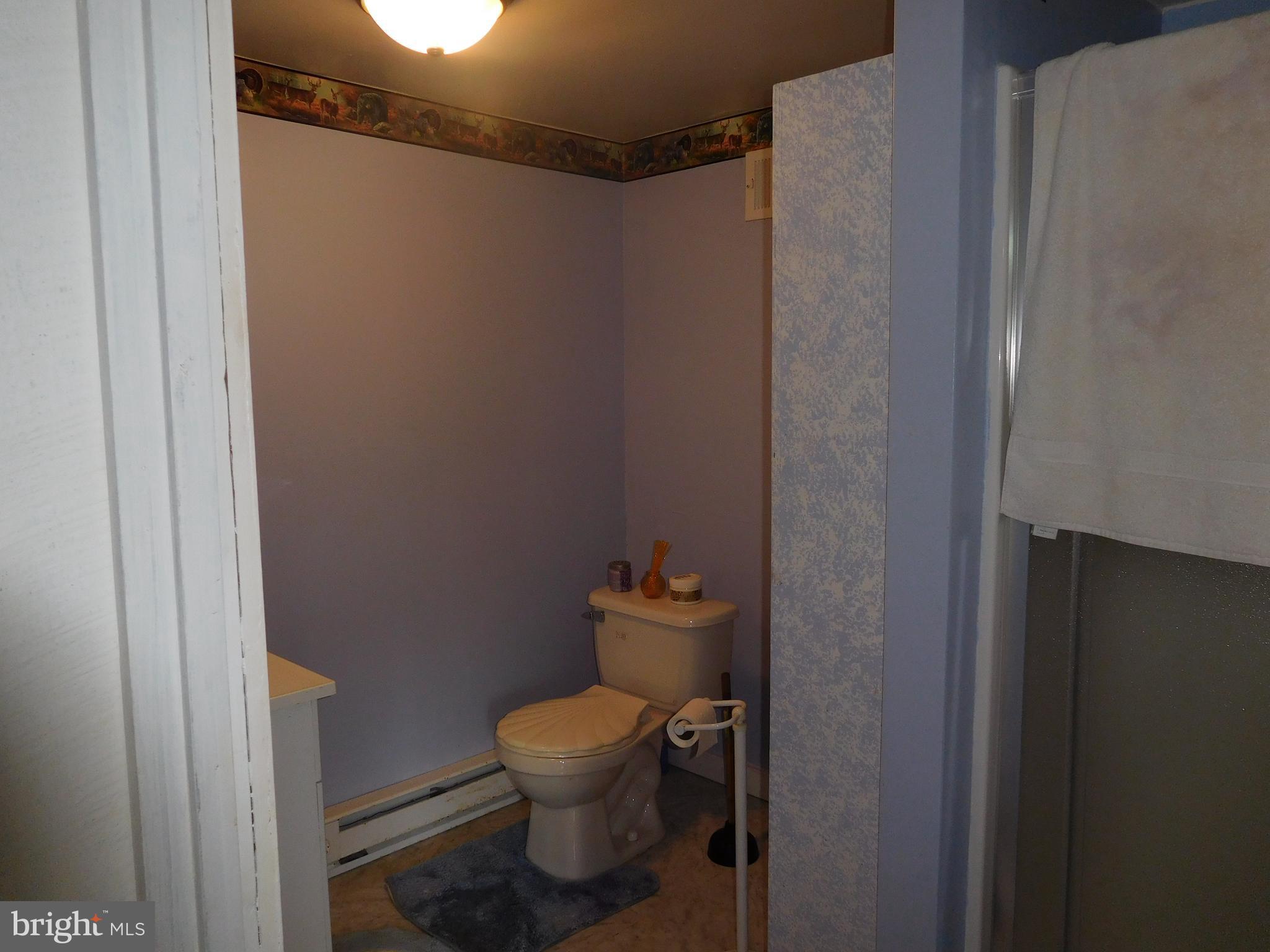 4013 Virginia Line Road Berkeley Springs, WV 25411 - Photo 22 of 30 Bath