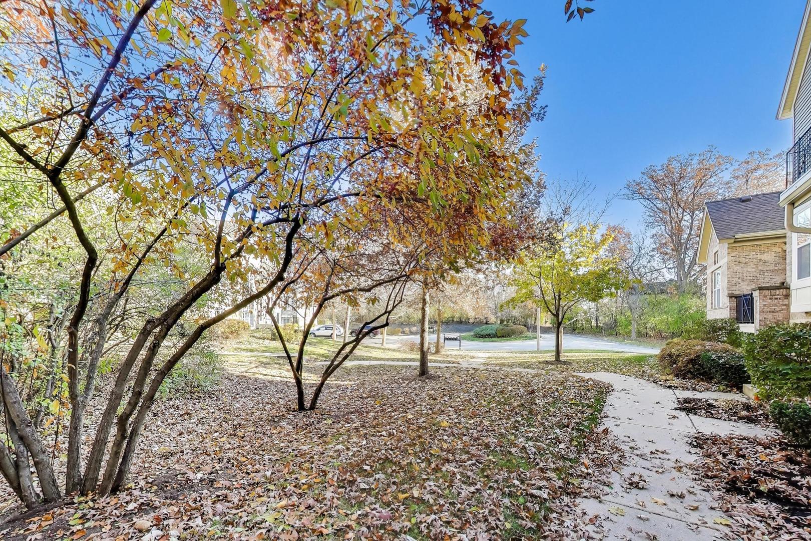 934 Tuscany Drive Streamwood, IL 60107 - Photo 40 of 45 a view of road with view of trees