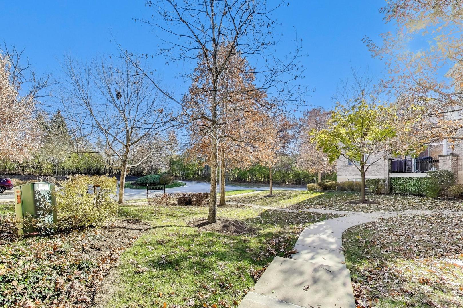 934 Tuscany Drive Streamwood, IL 60107 - Photo 41 of 45 a view of a yard with a tree